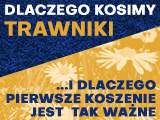 Dlaczego kosimy trawniki i dlaczego pierwsze koszenie jest tak ważne
